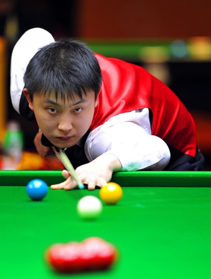 主权与职业 主权与职业